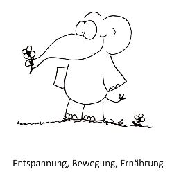 elefant KSB